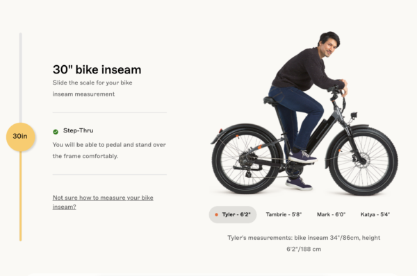 RadRover 6 Plus Step-Thru Fat Tire eBike - Image 11